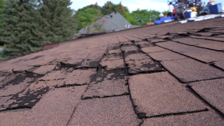 Best Asphalt Shingle Roofing  in Egypt, AL
