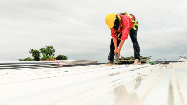 Best Rubber Roofing (EPDM, TPO)  in Egypt, AL