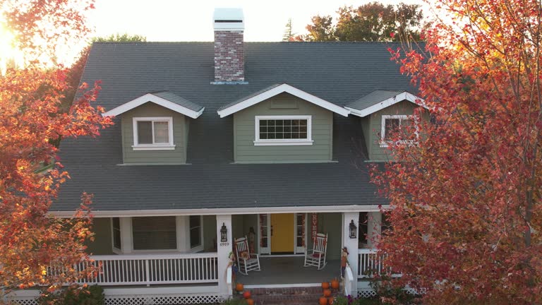 Best Emergency Roof Repair Services  in Egypt, AL