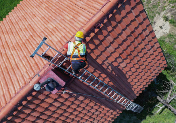 Best Cold Roofs  in Egypt, AL