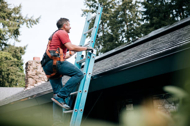 Best Roof Waterproofing  in Egypt, AL